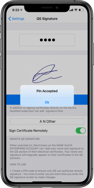 Pin protected signature