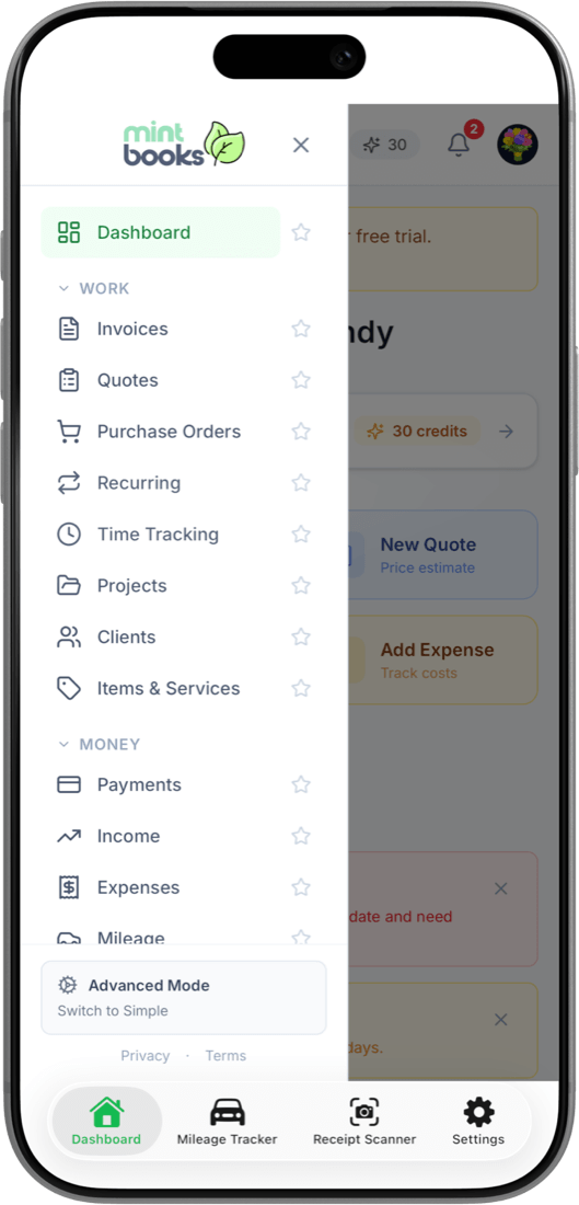 Mint Books invoicing app on iPhone